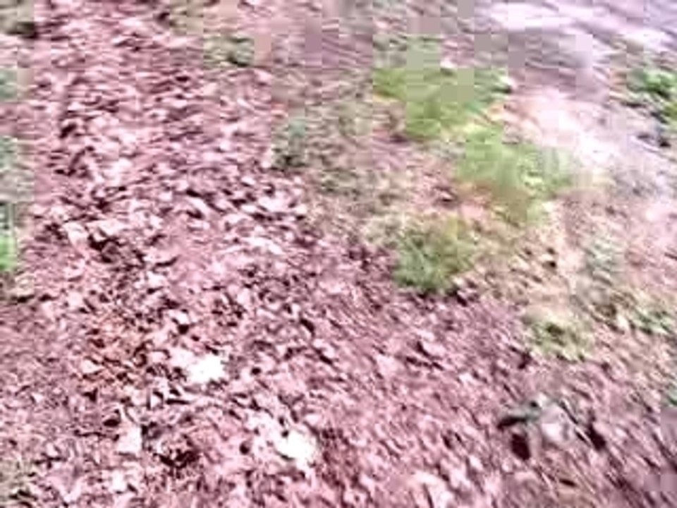 Vous avez l'heure ?