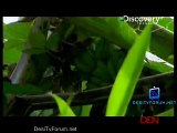 Dual Survival 5th December 2014 Video Watch Online pt2