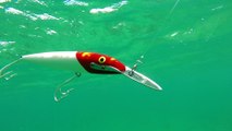 How Lures Swim: Rapala Magnum