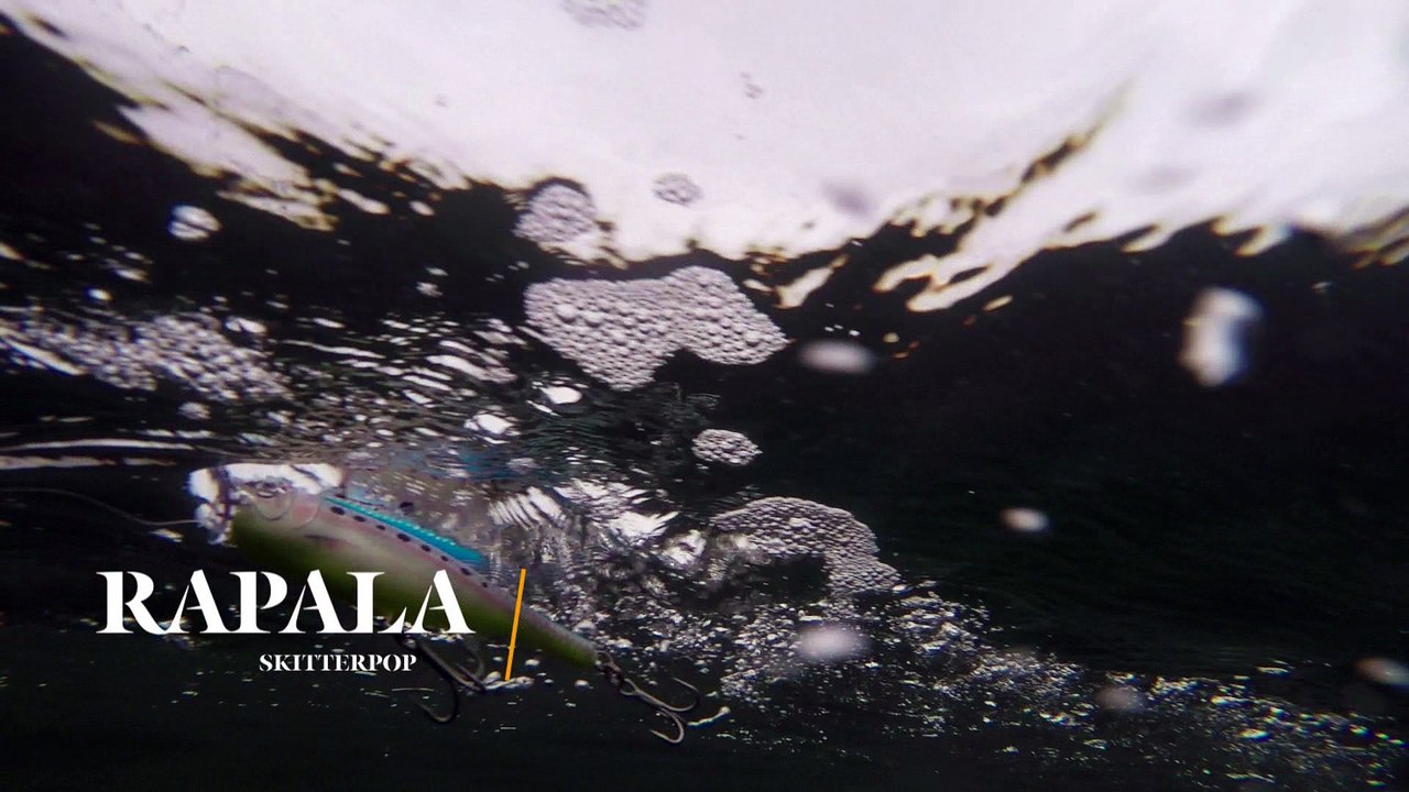 How Lures Swim: Rapala Skitterpop