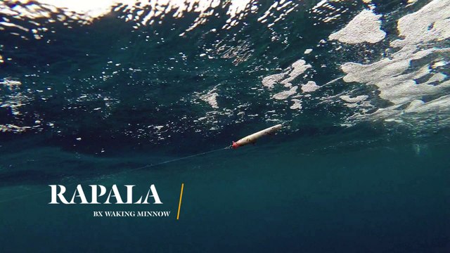 How Lures Swim: Rapala BX Waking Minnow Lure