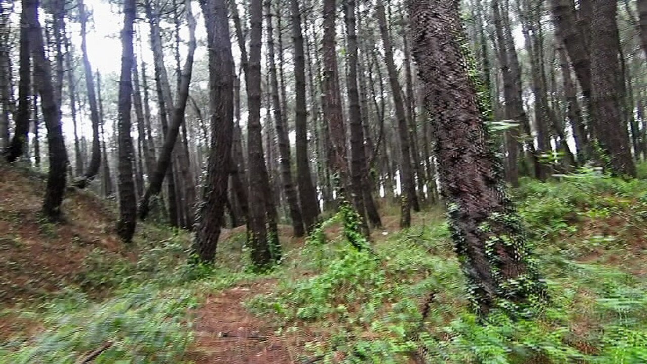 Cantabria en verde