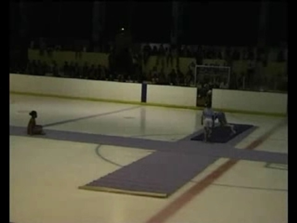 Ecole de Glace de Cergy Patinage