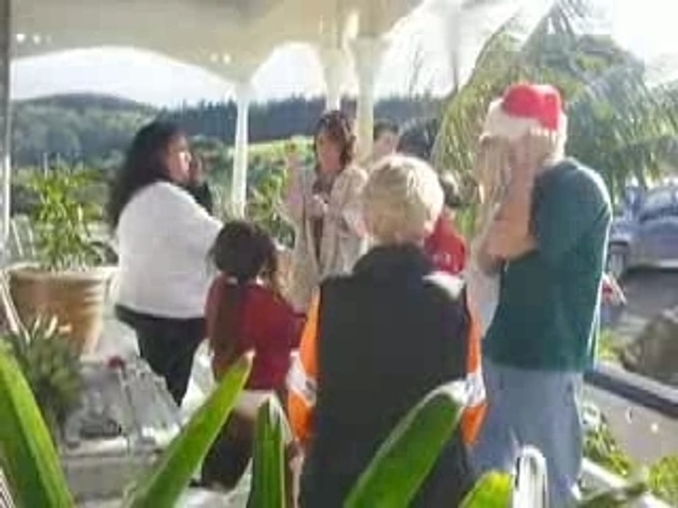 Midwinter christmas