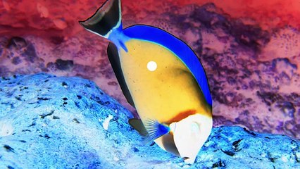 Eye Tests That Look Like Magic