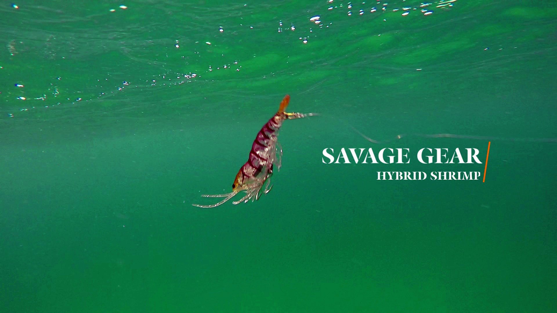 How Lures Swim: Savage Gear Hybrid Shrimp - video Dailymotion