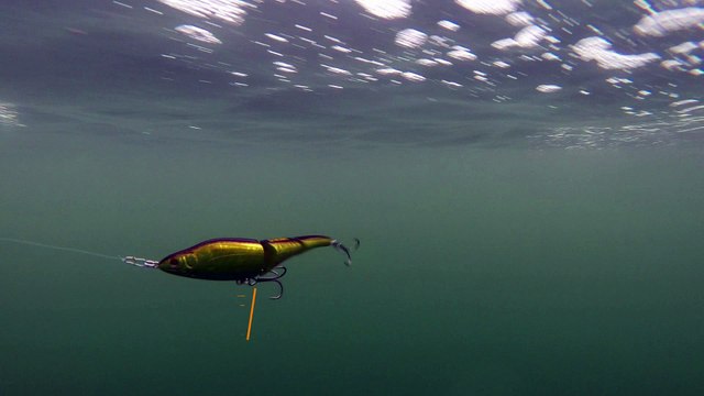 How Lures Swim: Sebile Magic Swimmer