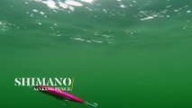 How Lures Swim: Shimano Sinking Pencil