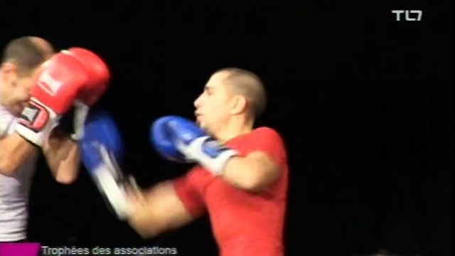 Démonstration de savate boxe Française par les frères Carbone de Saint Etienne - Loire BF #TEAM CARBONE