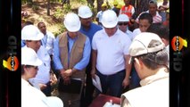 Gorgojo se ha desplazado a bosques en Guatemala