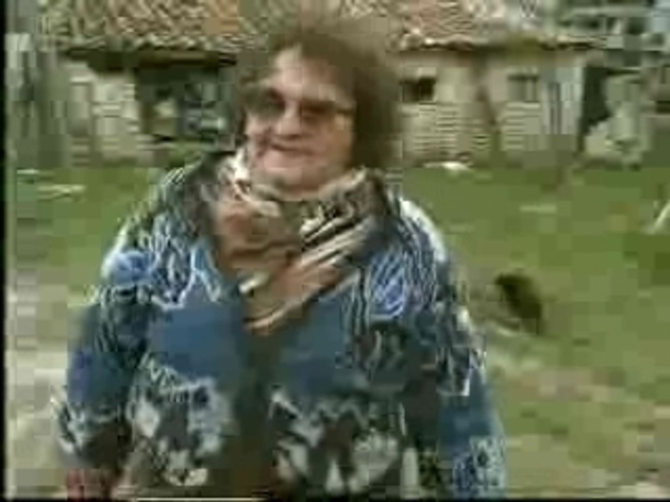Nini le perroquet