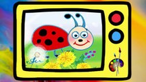 Resimler çizelim - Uğur böceği - Çocuklar için eğitici Video
