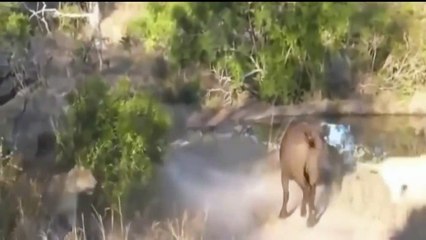 Barack Obama President one bes (10)