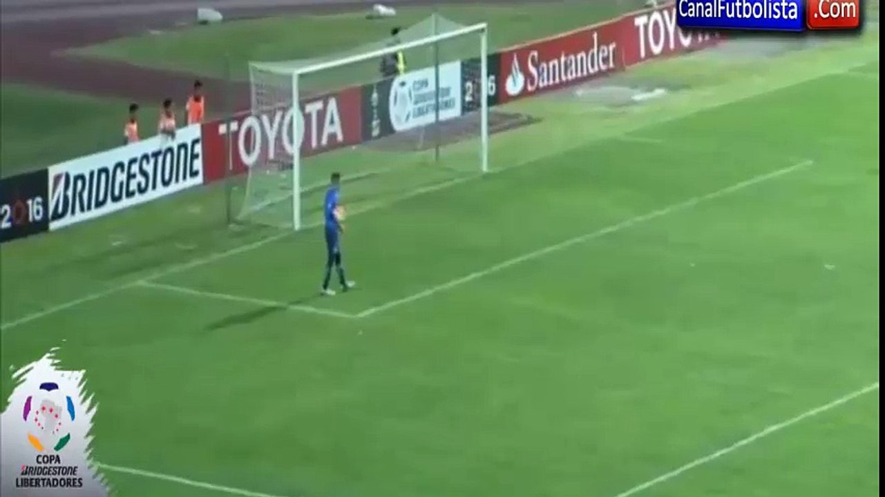 Perro se roba el show en pleno partido por la Copa Libertadores