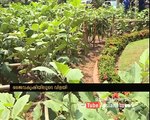 Organic Farm Harvest outside Kerala Legislative Assembly by N Sakthan