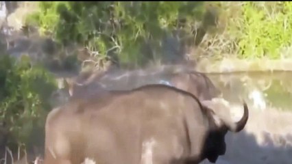 Barack Obama President one bes (6)