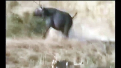 Barack Obama President one bes (8)