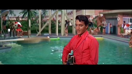 Elvis Presley - Fort Lauderdale Chamber Of Commerce ( Live Neue Film Version 2016 )