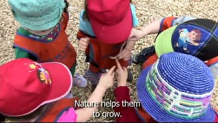 Kids, Bugs And The Outdoors