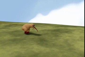 Kiwi! by sprots academy