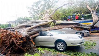 Twenty dead, thousands evacuated as Typhoon Rammasun