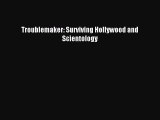 Read Troublemaker: Surviving Hollywood and Scientology Ebook Free