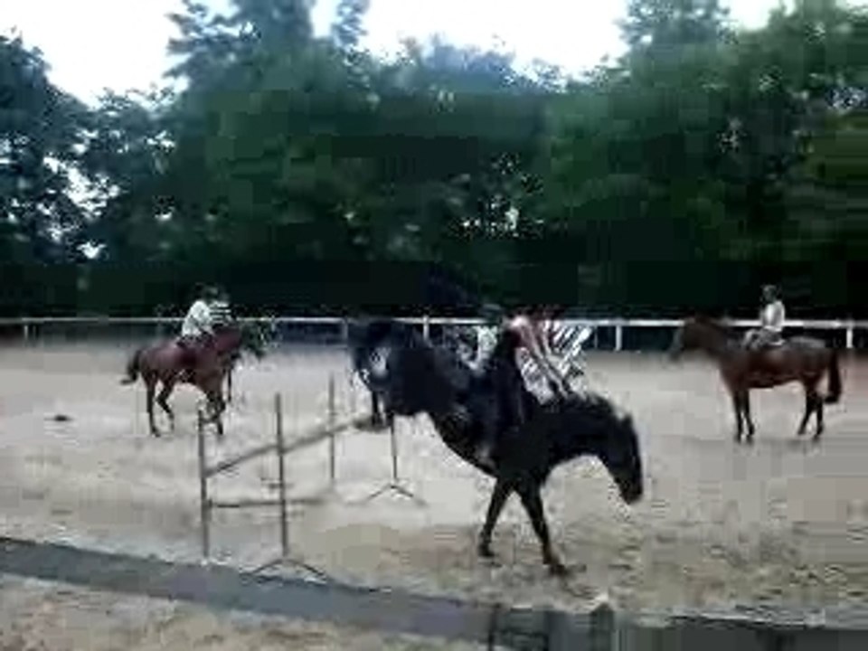 galop 8