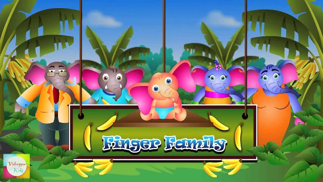 Finger Family Elephant | ChuChu TV Animal Finger Family Songs & Nursery Rhymes For Childre