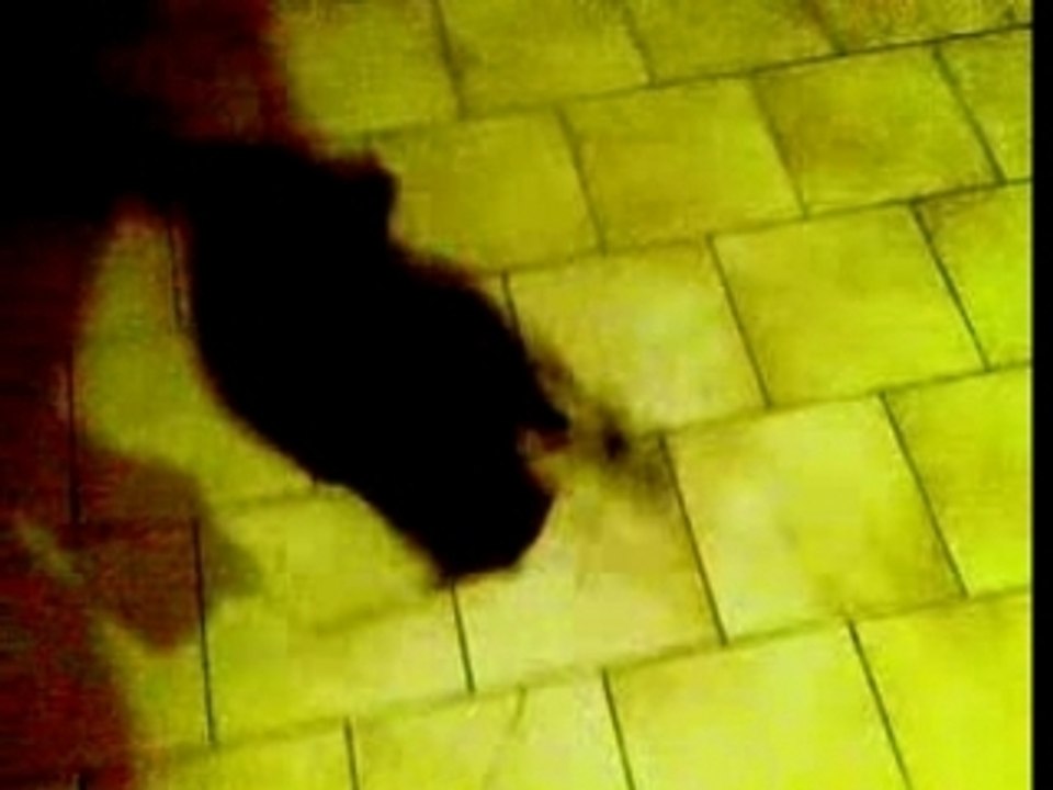 24062007(002)