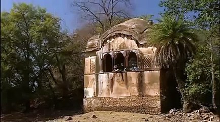 Female Tiger kills Crocodile length of 14 feet