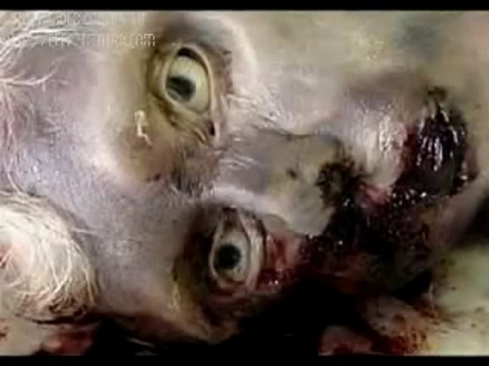 Be Namaazi Ka Azab e Qabar Aise Waqt Se Pehle Tayari Kar Lo Picture After Few Hour Burial