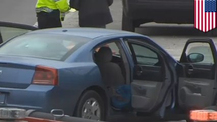 Woman driver shot in the back and killed by child with a gun in the back seat