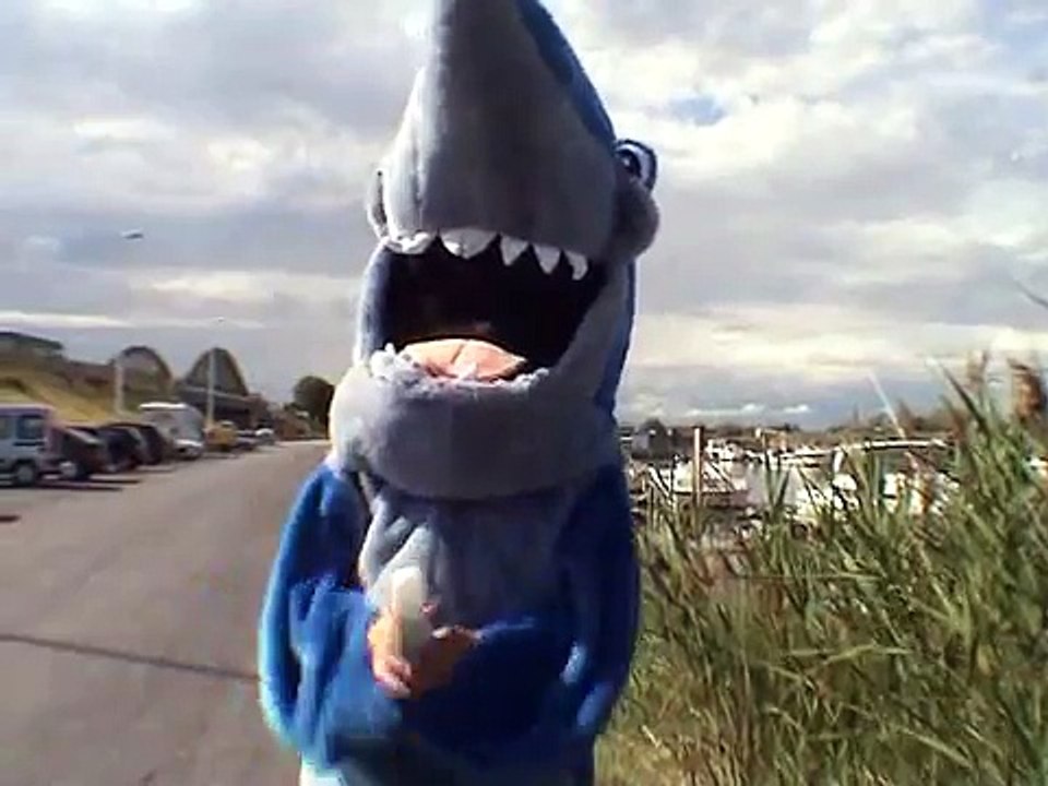 SHARK ATTACK (REMI GAILLARD)