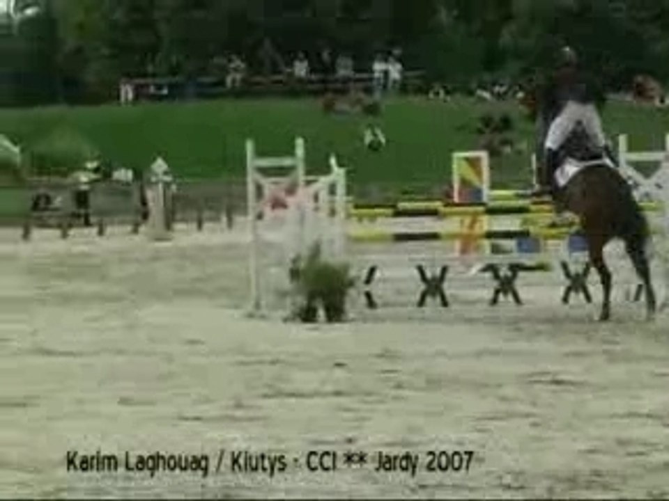 Parcours CSO de Karim Laghouag / Kiutys (CCI** Jardy 2007)