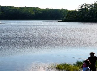 스보벳에이전시 ≪superCAR123,COM(코드:6623)≫て스보벳양방 일본야구생중계