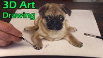 3D Drawing of sweet Pug Dog│Trick ART speed painting