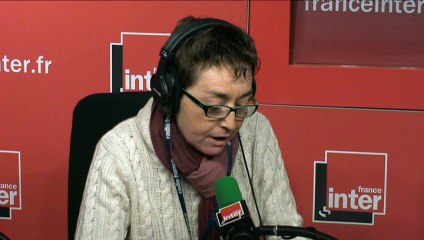 "Pétition internationale pour protéger les raies Mobula" (Planète Environnement)