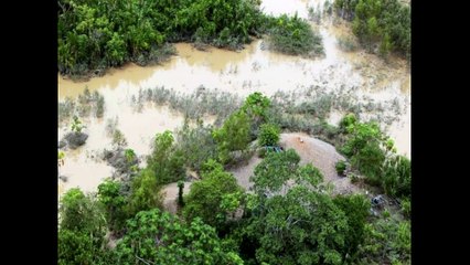 Peru News: Peruvian authorities continue to fight illegal mining in Tambopata