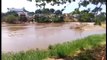 O tsunami de lama que destruiu Bento Rodrigues gera prejuízos ecológicos Jornal Minas