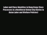 Book Labor and Class Identities in Hong Kong: Class Processes in a Neoliberal Global City (Series