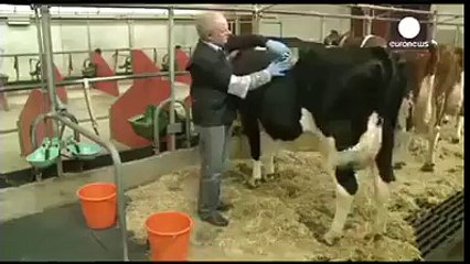 Mixing chemical to reduce milk production