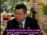 Japanese dog owners fleeced into buying lambs as poodles?