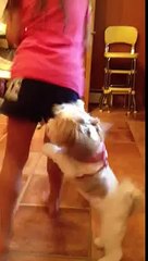 girl cute and dog dancing