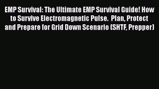 Book EMP Survival: The Ultimate EMP Survival Guide! How to Survive Electromagnetic Pulse.