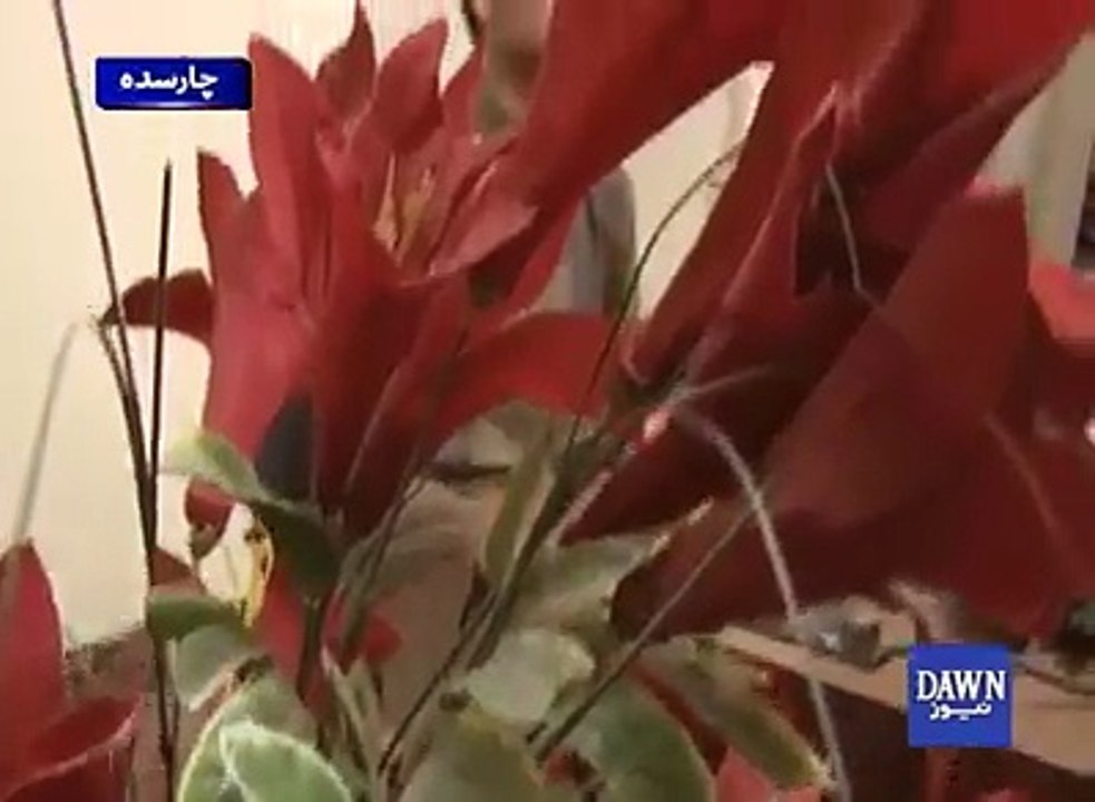 پشاور میں نویں جماعت کے طالب علم نے کمال کر دیکھایا۔