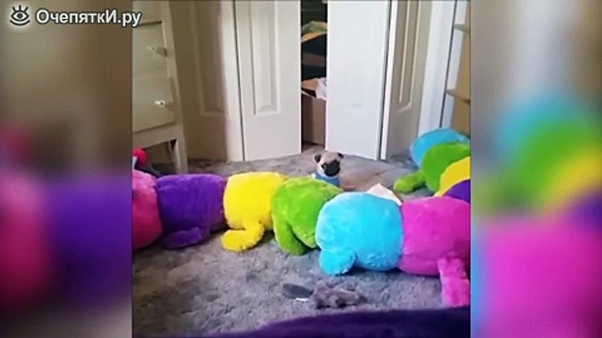 ⁣Весёлые животные в сборнике / Funny animals in the collection