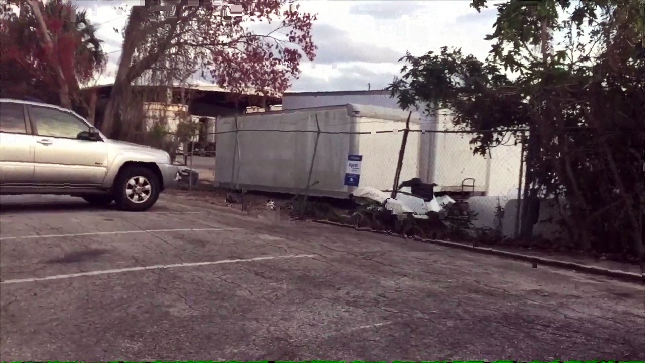 C'est une mauvaise idée de donner à manger à un raton laveur