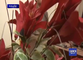 Talented young Pakistani boy of 9th class creates 3D Videos