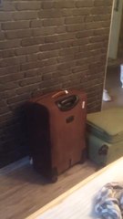 Wife betrayed her husband