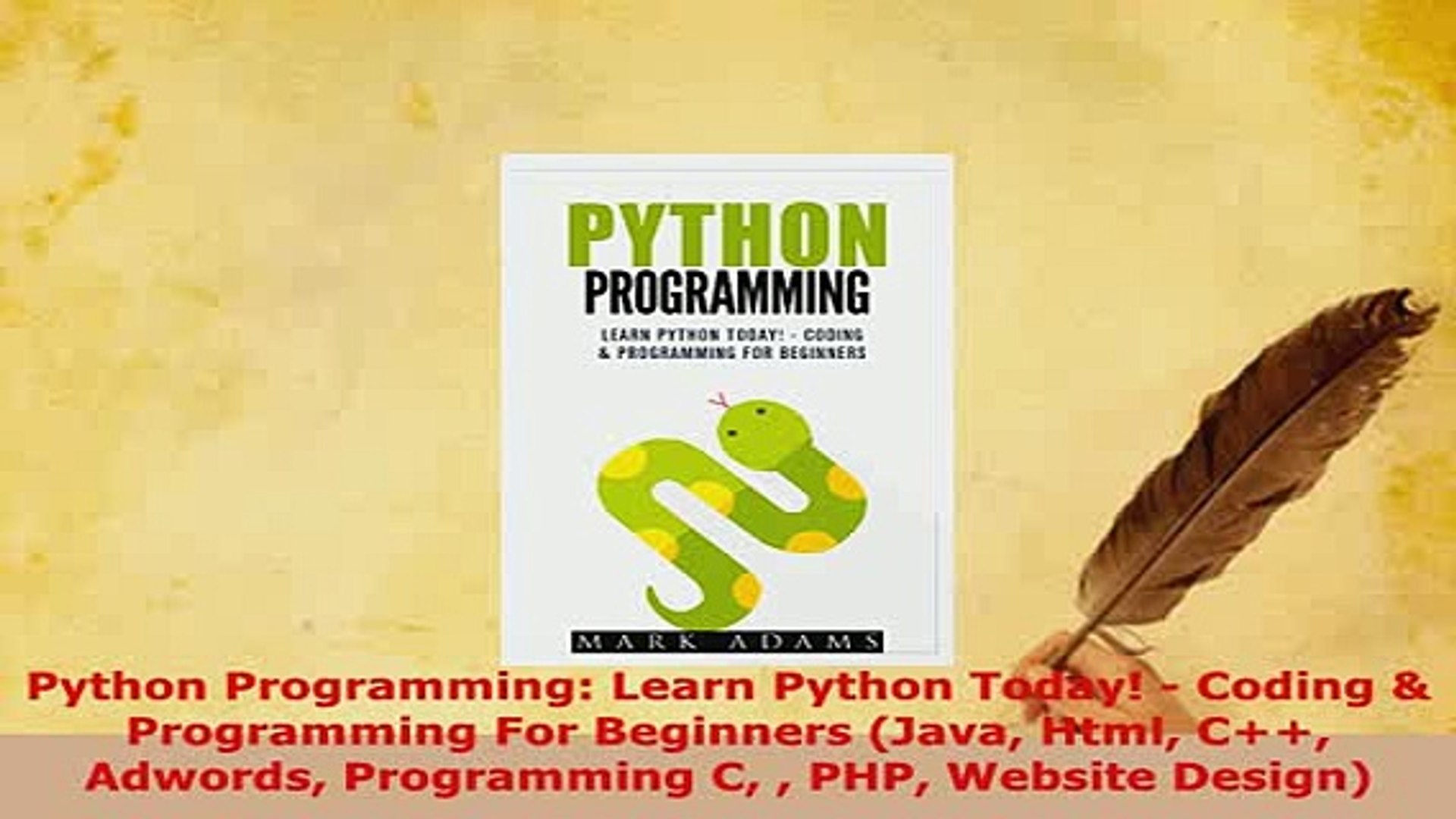 PDF  Python Programming Learn Python Today  Coding  Programming For Beginners Java Html  EBook